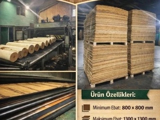 HUŞ AĞACINDAN KONTRPLAK ÜRETİMİ İÇİN YARI MAMUL ÜRÜNLER - 2