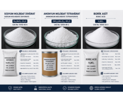Brezilya İçin Aylık Kimyasal Hammadde Tedarik Talebi – Ammonium Molybdate, Sodium Molybdate ve Boric