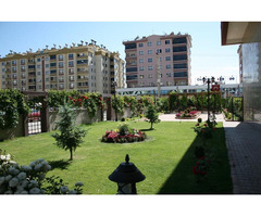 Hazır Rulo Çim Üretimi ve Uygulaması | Hazır Çim Üreticisi | Bahçe, Villa, Peyzaj, Spor Sahaları İçi - 6