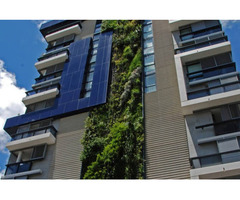 Dikey Bahçe Sistemleri | Türkiye Geneli Yeşil Duvar ve Living Wall Çözümleri