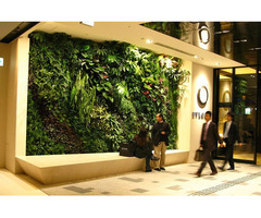Dikey Bahçe Sistemleri | Türkiye Geneli Yeşil Duvar ve Living Wall Çözümleri - 2