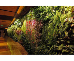 Dikey Bahçe Sistemleri | Türkiye Geneli Yeşil Duvar ve Living Wall Çözümleri - 3