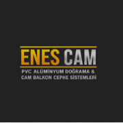 Enes Cam
